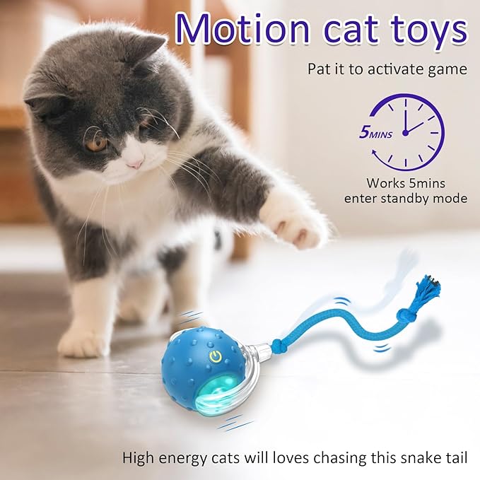 Transform Playtime into Endless Joy!