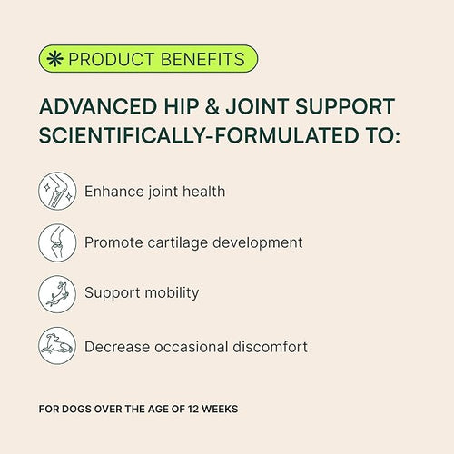 Advanced Dog Hip and Joint Supplement with Glucosamine - PawFect