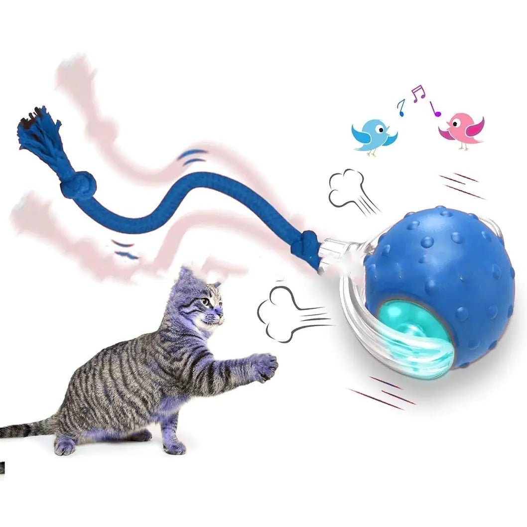 Pawfect Interactive Cat Toy Ball - PawFect