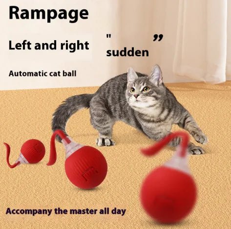 Pawfect Interactive Cat Toy Ball - PawFect