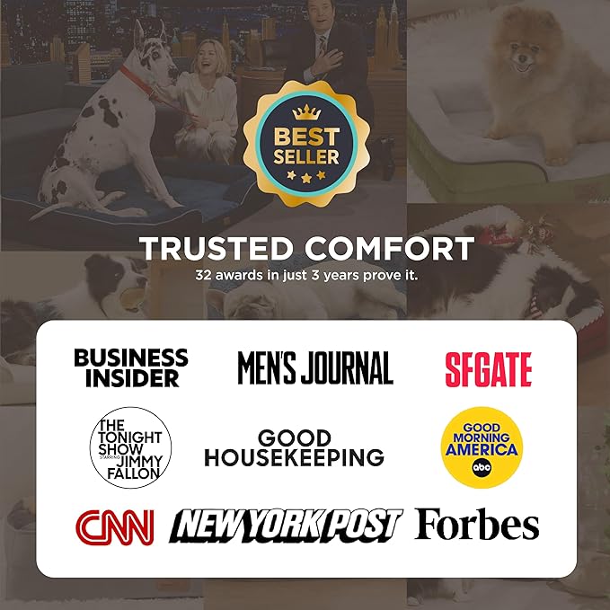 Pawfect Orthopedic Dog Beds Large Sized Dog - PawFect